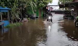 WhatsApp Image 2025-12-08 at 12.34.01